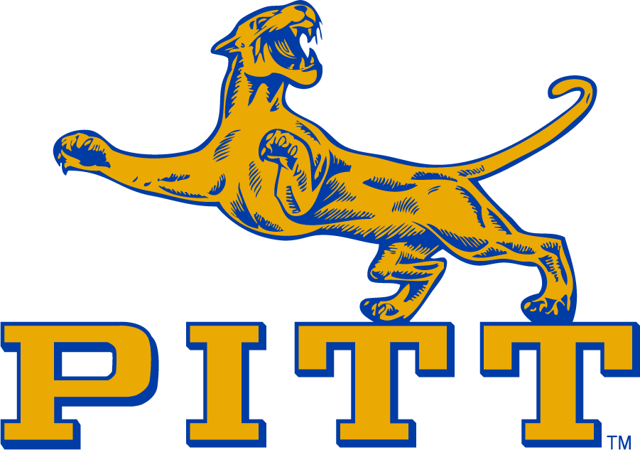 Pittsburgh Panthers 1960-1969 Alternate Logo diy iron on heat transfer